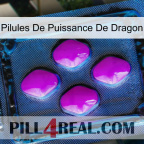 Dragon Power Pills 04